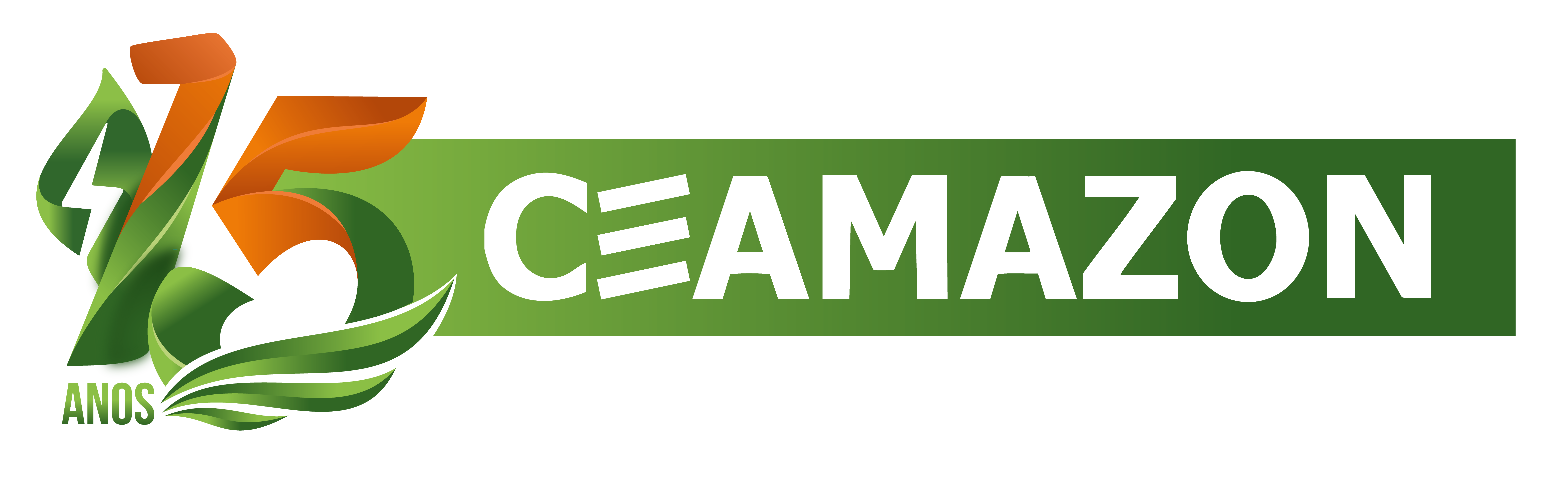 Ceamazon Logo 15 anos